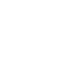 Dynamic Discs