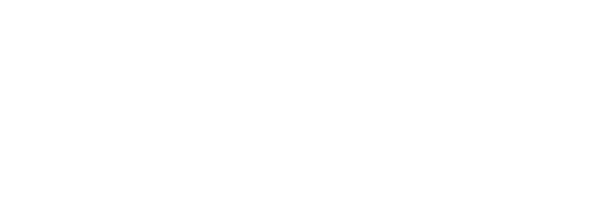 Prodigy Disc