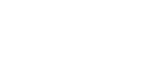 Spindisc